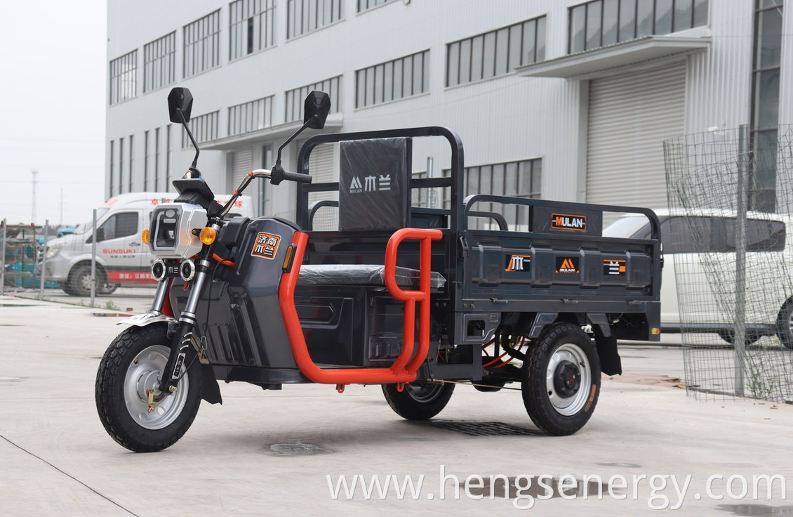 Cargo Electric Tricycle